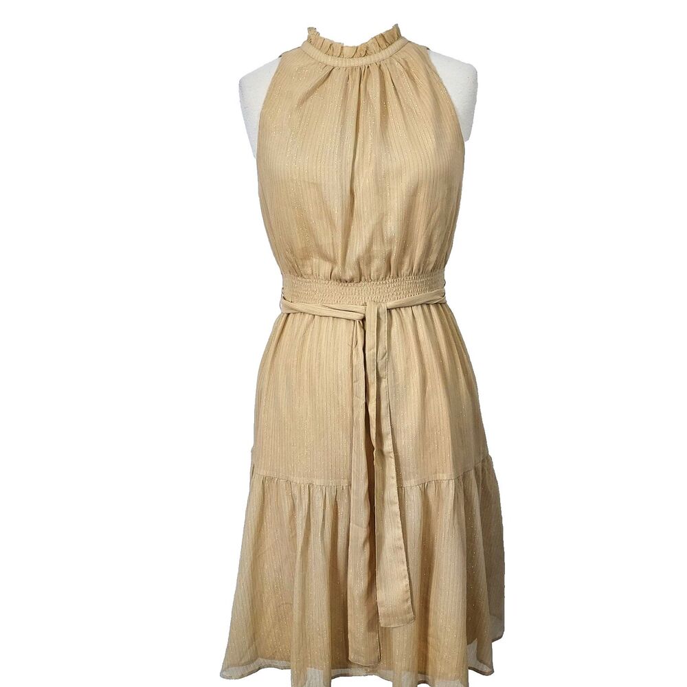 Ann Taylor Dress Beige Gold Shimmer Romantic Flowy Size 4 Sleeveless High Neck